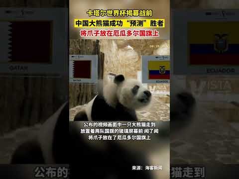 老鹰逆转胜,猛龙,特雷杨,NG体育,NG,Sports,NG体育官网,NG体育官网,NG体育下载